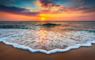 Florida Executive Recruiting