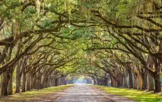 Georgia Executive Recruiting