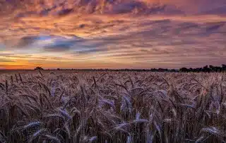 Kansas Executive Recruiting