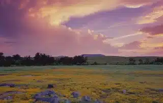 Oklahoma Executive Recruiting
