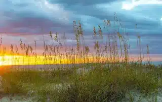 Southeast Executive Recruiting